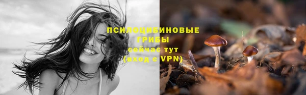 марки lsd Кинешма