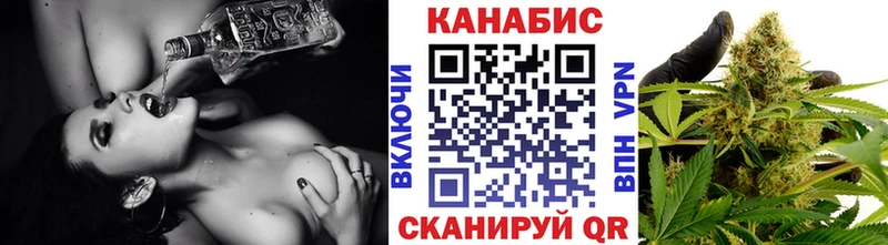 как найти наркотики  Княгинино  Канабис сатива 